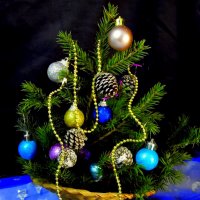 Всем счастливого Нового года. :: nadyasilyuk Вознюк