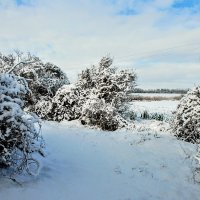 Последний день декабря. :: Владимир 