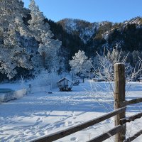 У Синего плёса :: Валерий Медведев