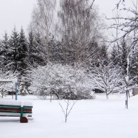 Зимний сад, белым сном деpевья спят, но им, как нам, цветные снятся сны. :: Люба 
