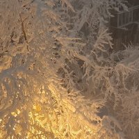 Такого снегопада давно не помнят здешние места... :: tatyana 