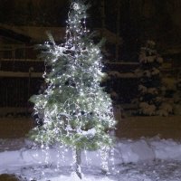 Перед новым годом :: Вадим Бакка