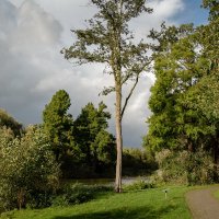 Октябрьским днём... :: Николай Гирш