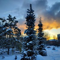 С Новым годом! :: Андрей Лукьянов С Новым годом! :: Андрей Лукьянов