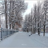 День уходящий, год уходящий... :: Aquarius - Сергей