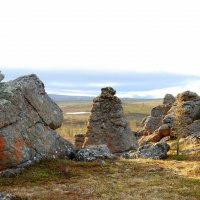 ЯМАЛ :: Tata Wolf