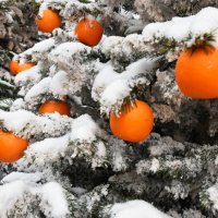 Предновогодняя Москва. Путешествие в Рождество. :: Наташа *****