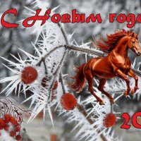 *** :: Надежда Куркина 