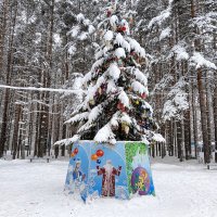 с новым годом :: Владимир 