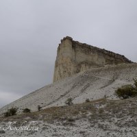 Природа Крыма :: Amazing Cosmea Природа Крыма :: Amazing Cosmea