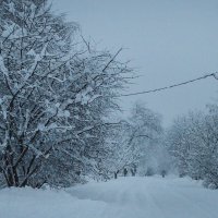 Утренний снегопад.... :: Надежда Куркина 