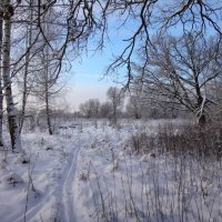 На лыжах) :: Андрей Зайцев