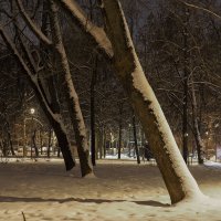 Зимний Вечер :: юрий поляков