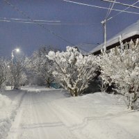 Ставрополье осчастливила Зима...утро 31 декабря... :: Надежда Куркина 