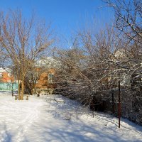 За окном сад заснеженный, тишина и покой :: Татьяна Смоляниченко