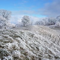 Winter Märchen :: Elena Wymann