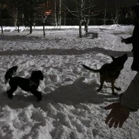 Театр теней :: Светлана 