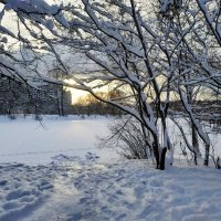 Вступаю в 2026-й :: Андрей Лукьянов