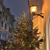 Новогодний вечер :: Мария - Maria