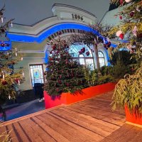 Новогодняя Москва :: Ольга Довженко