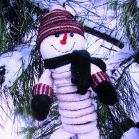 На кедре :: Людмила Смородинская