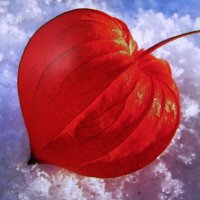 Фонарик на снегу :: Людмила Смородинская