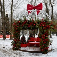 Москва. Воронцовский парк. :: Наташа *****