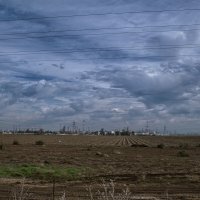 По дороге в  Хайфу :: ujgcvbif 