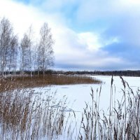 Природа Смоленщины в конце декабря. :: Милешкин Владимир Алексеевич 