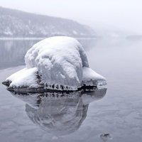 Неведома зверушка :: Марина Фомина.