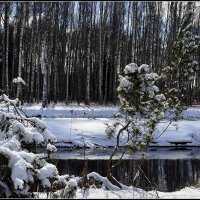 *** :: Aleksandr Gal