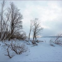 Волга у Голубого залива :: **** vedin Волга у Голубого залива :: **** vedin