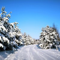 Зимняя дорога :: Александр Сансар Зимняя дорога :: Александр Сансар