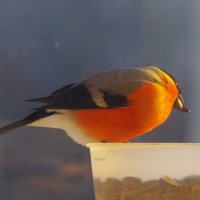 Вчера было это... :: Юрий Куликов