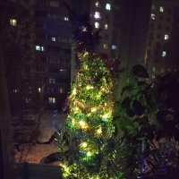 Свет ёлки новогодней :: Дмитрий Никитин