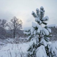 Утро 31-го декабря :: Сергей Курников