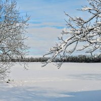 Январский день. :: Владимир 