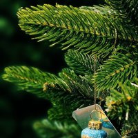 С Новым годом!!! :: Радмир Арсеньев