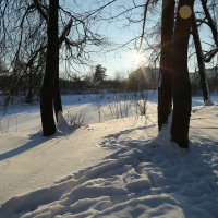 Январские тени :: ZNatasha -