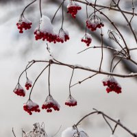 ... :: Олег Загорулько