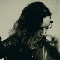 виола :: Дмитрий Потапов