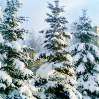 городская среда :: Владимир 