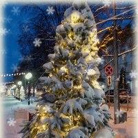 В новогоднем городе :: Alisia La DEMA