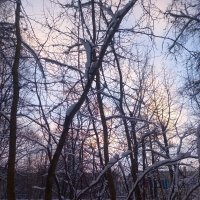 Рассвет :: Сапсан 