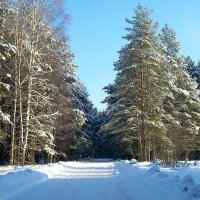 Зимний пейзаж :: Наталья Куликова