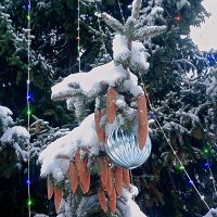 Украшение шариками :: Сергей Кочнев Украшение шариками :: Сергей Кочнев