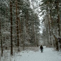 С родниковой водой :: Сергей Цветков С родниковой водой :: Сергей Цветков