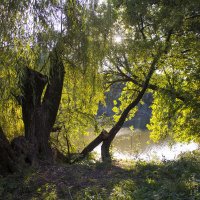 *** :: Александр. AVG100 ---