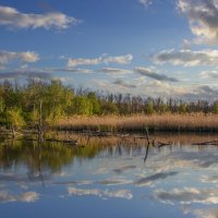 Утро. :: Александр. AVG100 ---