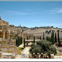 Иерусалим 2025г :: ujgcvbif 